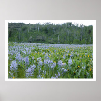 Zeichnen des Feild Poster