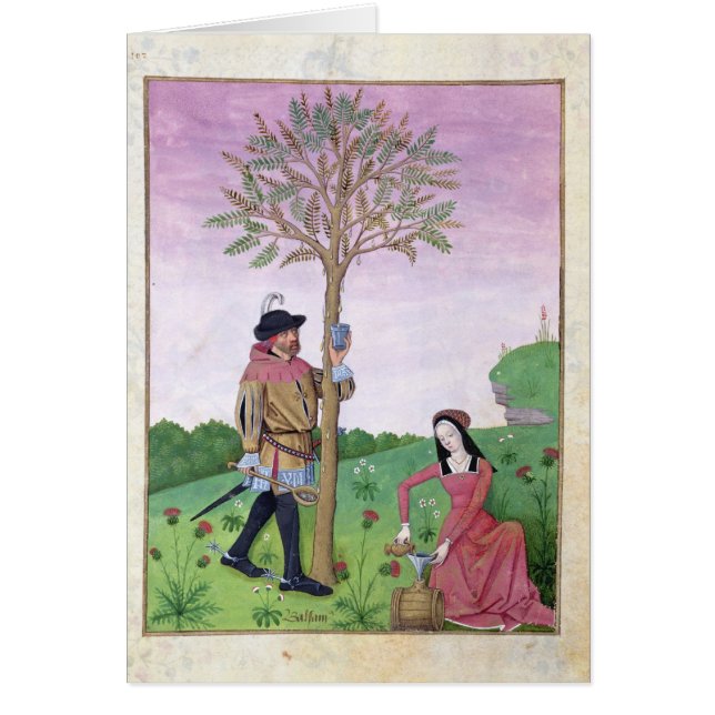 Zeichnen des Safts von einem Baum (Vorne)