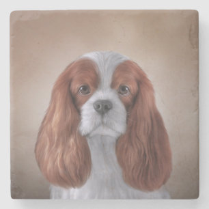 Zeichnen Hundeunbekümmerten Königcharles Spaniel Steinuntersetzer