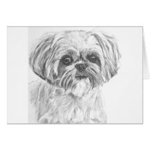 Zeichnen Shih-Tzu