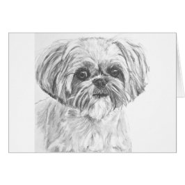 Zeichnen Shih-Tzu