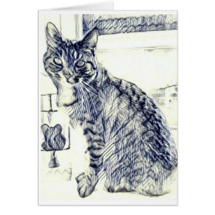 Zeichnen Sie Skizze einer Katze auf einer leeren