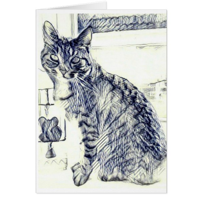 Zeichnen Sie Skizze einer Katze auf einer leeren (Vorne)