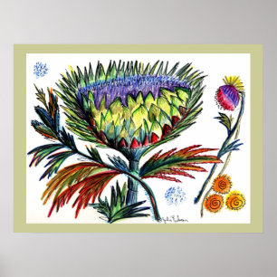 Zeichnen Thistle42 Poster