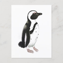 Zeichnend afrikanischer Pinguinstift Postkarte