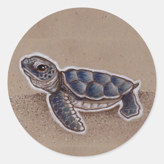 Zeichnend Baby Sea Turtle Runder Aufkleber (Vorderseite)