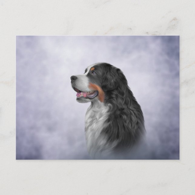 Zeichnend Berner Hund Postkarte (Vorderseite)