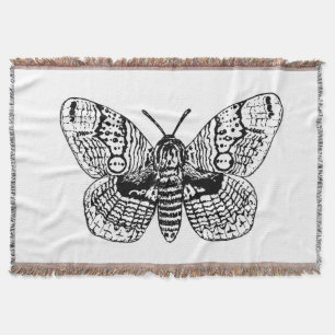 Zeichnend Brahmanmotte Decke