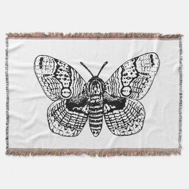 Zeichnend Brahmanmotte Decke (Vorderseite)