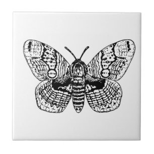 Zeichnend Brahmanmotte Fliese