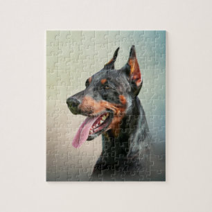 Zeichnend Doberman-Hund