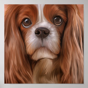 Zeichnend Dog Cavalier King Charles Spaniel Poster
