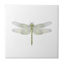 Zeichnend Elegante Dragonfly Fliese