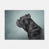 Zeichnend Hund Cane Corso - Italienischer Mastiff