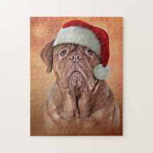 Zeichnend Hund Dogue de Bordeaux in rotem Hut von