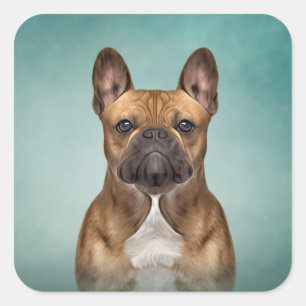 Zeichnend Hund Französischer Bulldog Quadratischer Aufkleber