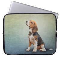 Zeichnend Hunde-Beagle