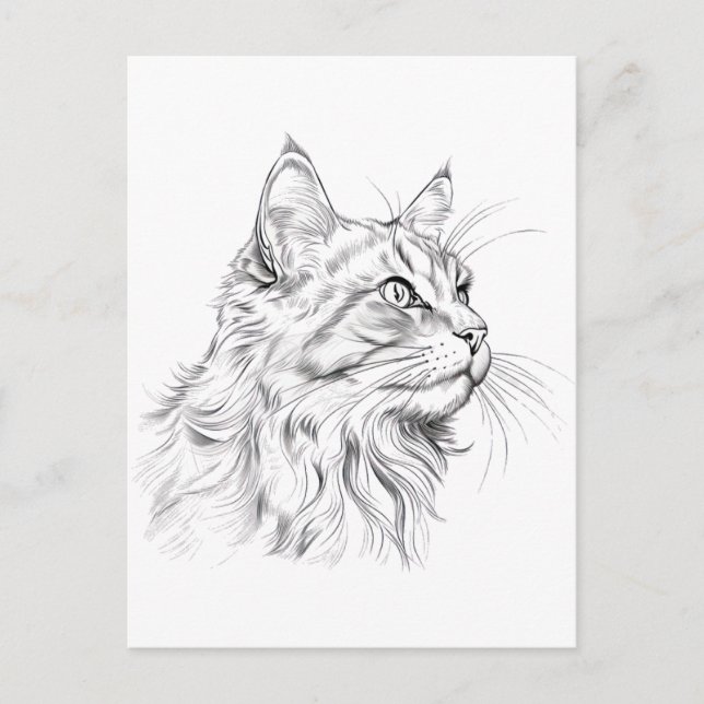 Zeichnend Katze Postkarte (Vorderseite)