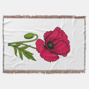 Zeichnend Mohn Decke