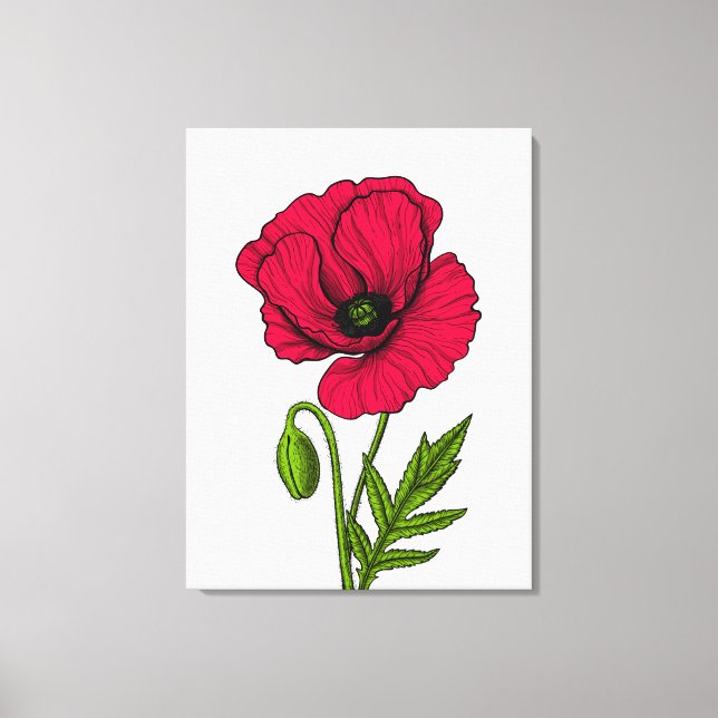 Zeichnend Mohn Leinwanddruck (Vorderseite)