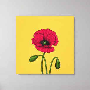 Zeichnend Mohn Leinwanddruck