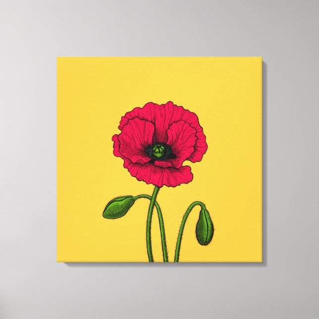 Zeichnend Mohn Leinwanddruck (Vorderseite)