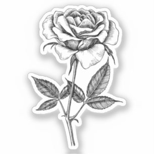 zeichnend Rose Aufkleber