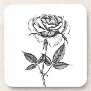 Zeichnend Rose Getränkeuntersetzer