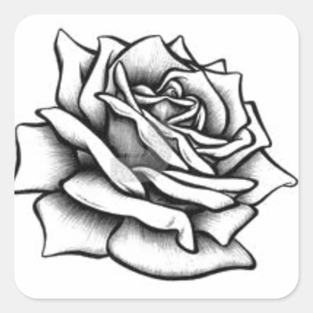 Zeichnend Rose Quadratischer Aufkleber (Vorderseite)