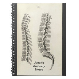 Zeichnend Vertebrae Notizblock