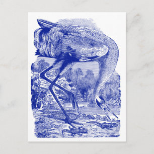 Zeichnend Vintager Vogel Blau Kranwagen Postkarte