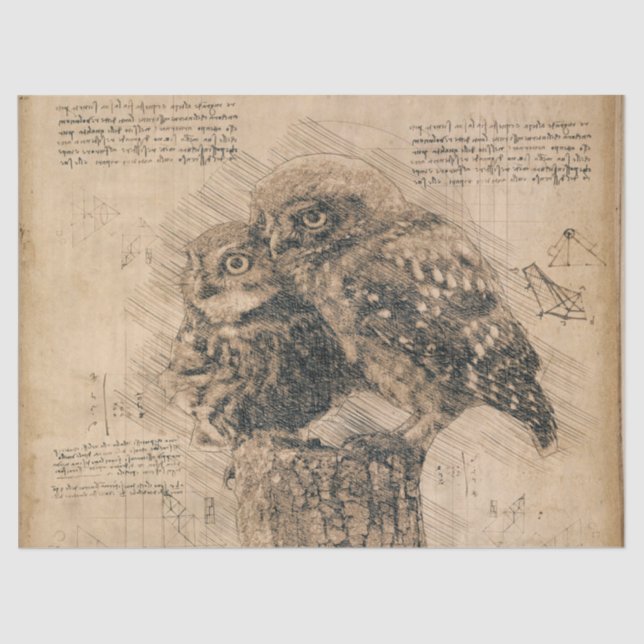 Zeichnend Vintages Owl Seidenpapier (Vorderseite)
