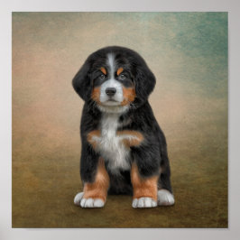 Zeichnend Welpe Bernese Mountain Dog Poster