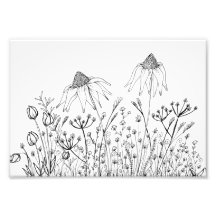 zeichnend Wildblumen