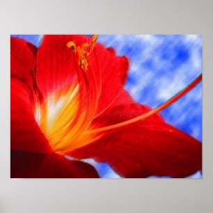 "Zeichnende " Tiger-Lilie Poster