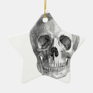 Zeichnung der Anatomie eines menschlichen Schädels Keramikornament