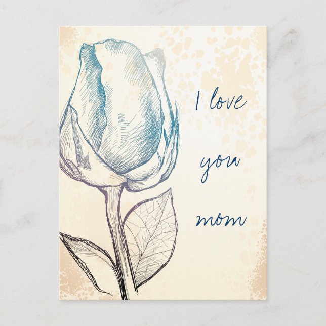 Zeichnung einer Rose, Postkarte (Vorderseite)