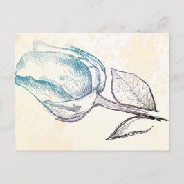 Zeichnung einer Rose, Postkarte