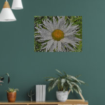 Zeige mir eine Margerite #1