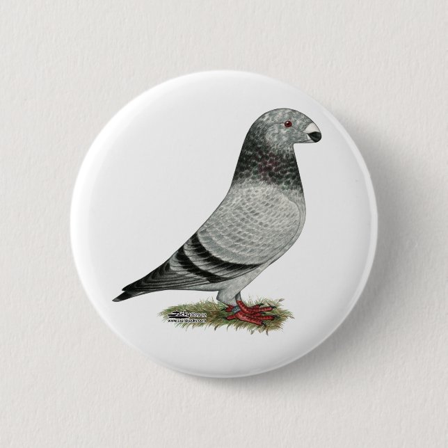 Zeigen Sie RennläuferGrizzle Button (Vorderseite)