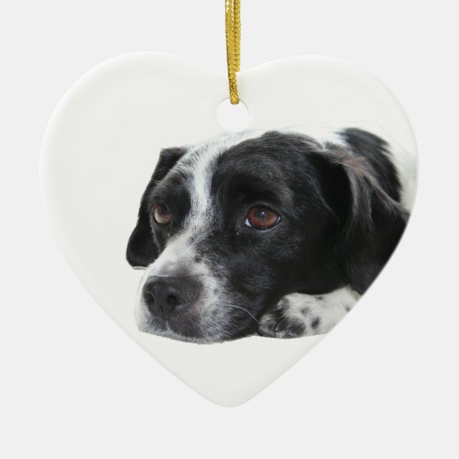 Zeiger-Hundeverzierung Keramik Ornament (Vorne)