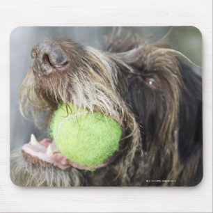 Zeigerhundebeißender Tennisball, Nahaufnahme Mousepad
