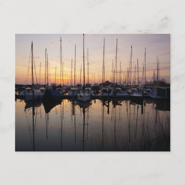 Zeilboten in haven met tegenlicht. postkarte (Vorderseite)
