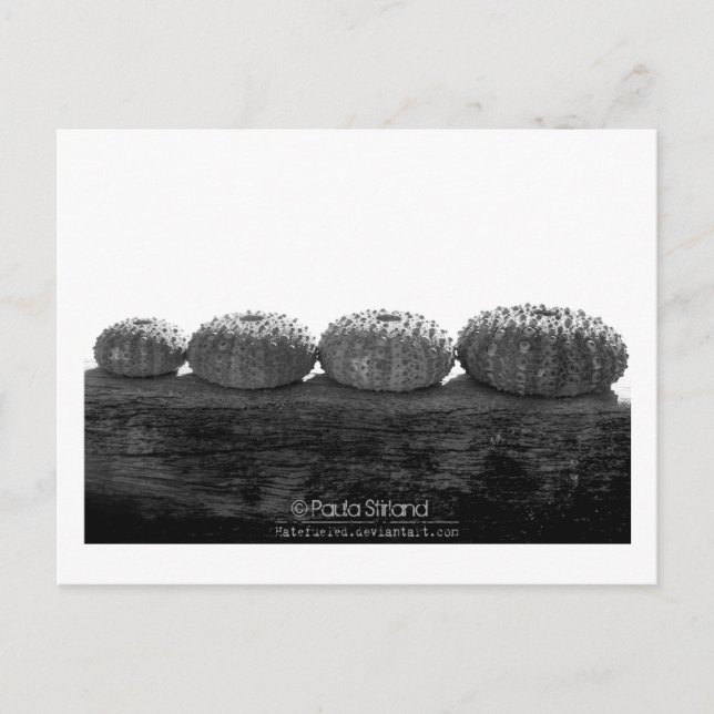 Zeile warten postkarte (Vorderseite)