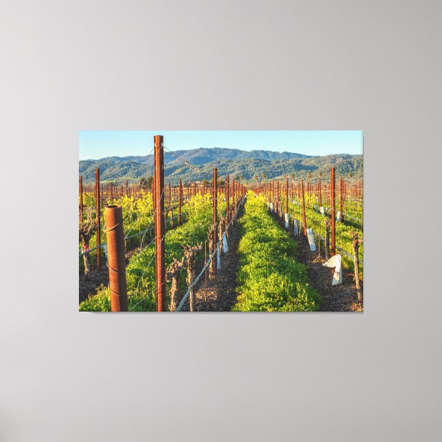 Zeit am Weinberg Leinwanddruck (Vorderseite)