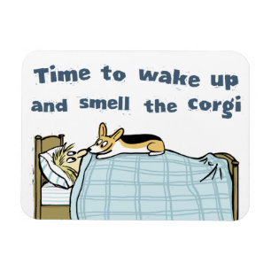 Zeit, aufzuwachen und den Corgi zu riechen Magnet
