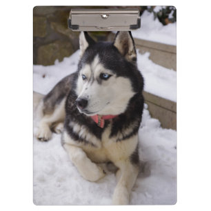 Zeit bis zur Erholung Klemmbrett