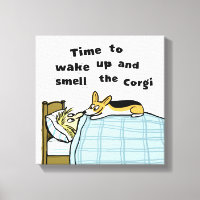 Zeit, den Corgi Wecken und zu riechen