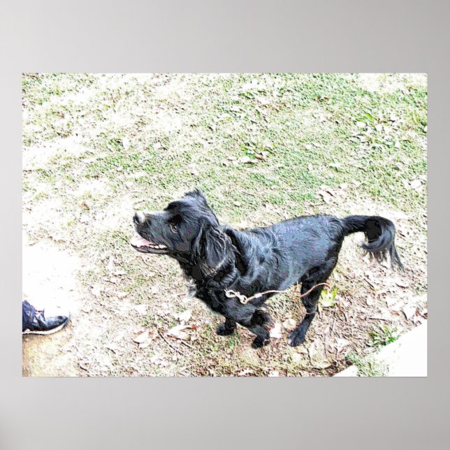 Zeit, den Hund zu Fuß zu gehen Poster (Vorne)