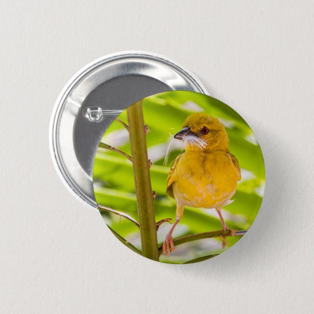 Zeit für den Bau des Nests Button (Vorne & Hinten)